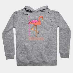 the flamingo Hoodie